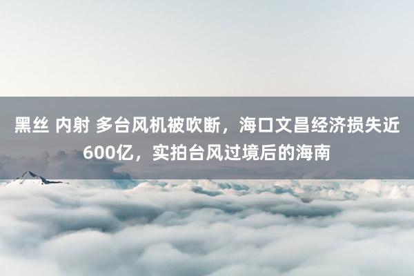 黑丝 内射 多台风机被吹断，海口文昌经济损失近600亿，实拍台风过境后的海南