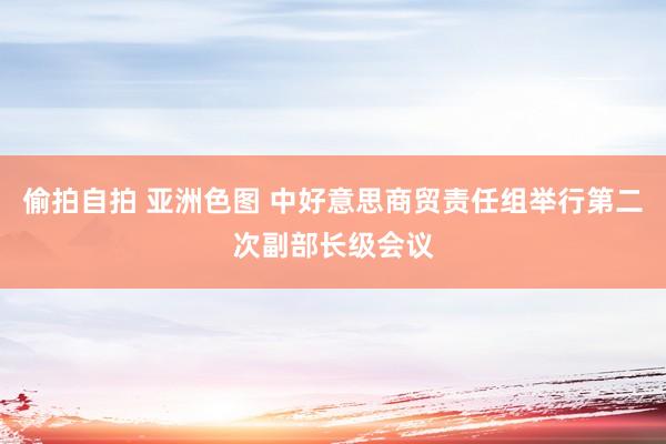 偷拍自拍 亚洲色图 中好意思商贸责任组举行第二次副部长级会议