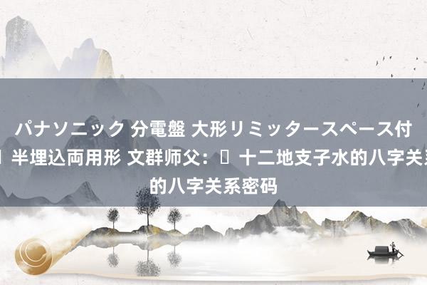 パナソニック 分電盤 大形リミッタースペース付 露出・半埋込両用形 文群师父：​十二地支子水的八字关系密码