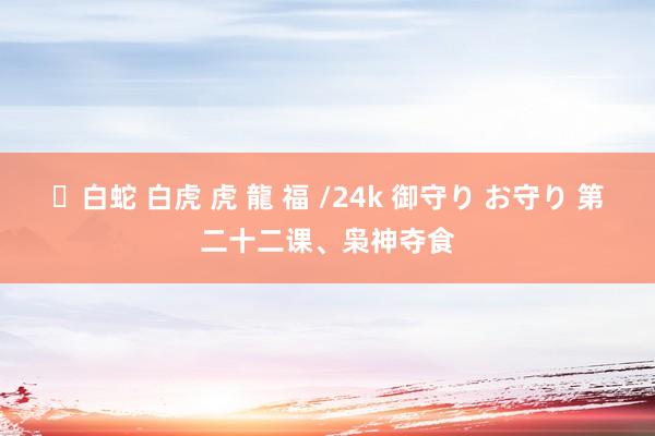 ✨白蛇 白虎 虎 龍 福 /24k 御守り お守り 第二十二课、枭神夺食