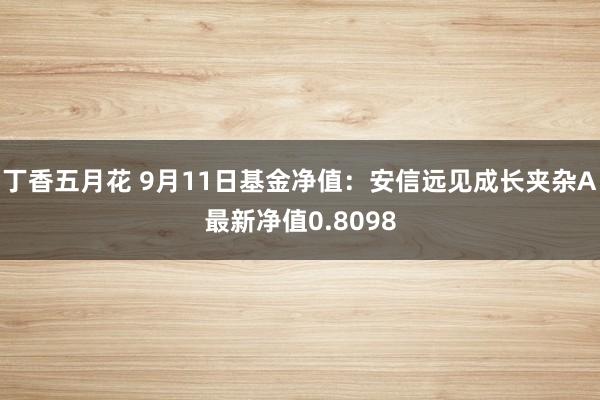 丁香五月花 9月11日基金净值：安信远见成长夹杂A最新净值0.8098