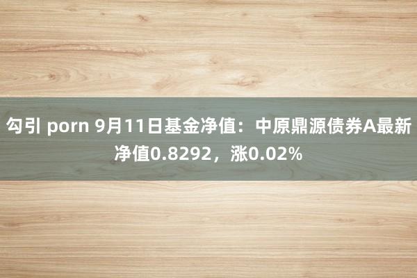 勾引 porn 9月11日基金净值：中原鼎源债券A最新净值0.8292，涨0.02%