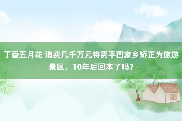 丁香五月花 消费几千万元将贾平凹家乡矫正为旅游景区，10年后回本了吗？