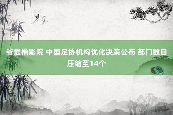 爷爱撸影院 中国足协机构优化决策公布 部门数目压缩至14个