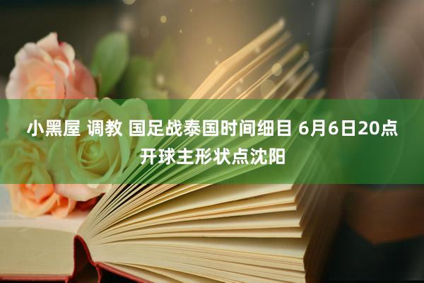 小黑屋 调教 国足战泰国时间细目 6月6日20点开球主形状点沈阳