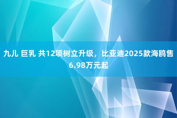 九儿 巨乳 共12项树立升级，比亚迪2025款海鸥售6.98万元起