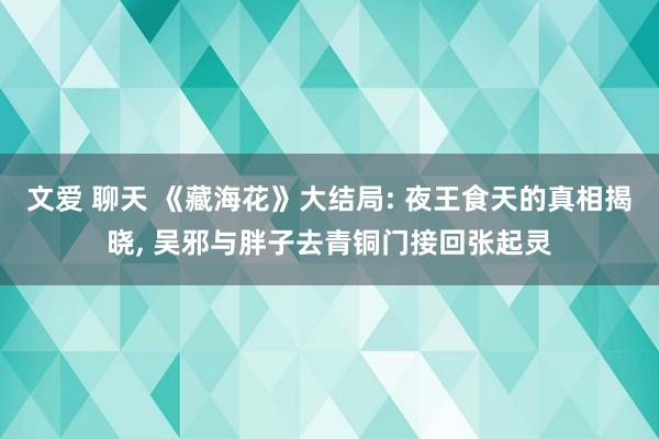 文爱 聊天 《藏海花》大结局: 夜王食天的真相揭晓， 吴邪与胖子去青铜门接回张起灵