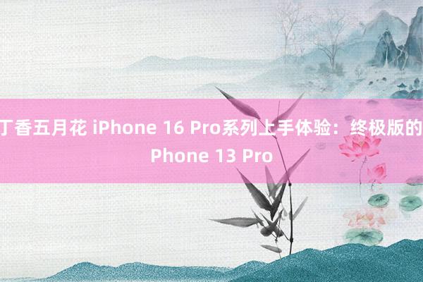 丁香五月花 iPhone 16 Pro系列上手体验：终极版的iPhone 13 Pro