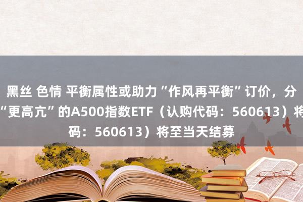 黑丝 色情 平衡属性或助力“作风再平衡”订价，分成收益分拨“更高亢”的A500指数ETF（认购代码：560613）将至当天结募