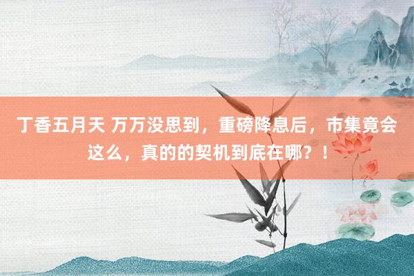 丁香五月天 万万没思到，重磅降息后，市集竟会这么，真的的契机到底在哪？！