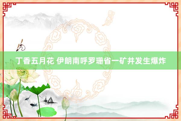 丁香五月花 伊朗南呼罗珊省一矿井发生爆炸