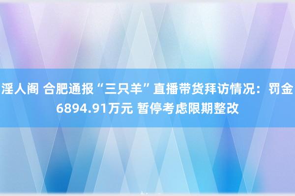 淫人阁 合肥通报“三只羊”直播带货拜访情况：罚金6894.91万元 暂停考虑限期整改