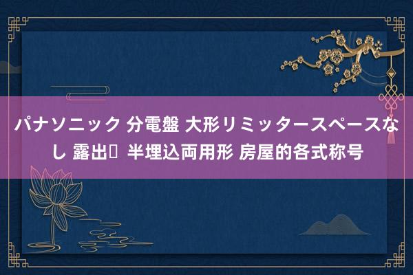 パナソニック 分電盤 大形リミッタースペースなし 露出・半埋込両用形 房屋的各式称号