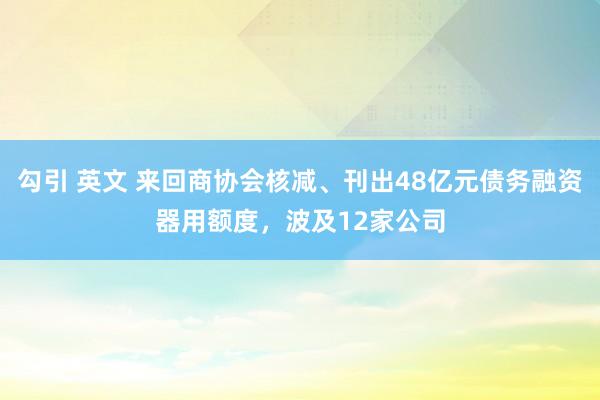 勾引 英文 来回商协会核减、刊出48亿元债务融资器用额度，波及12家公司