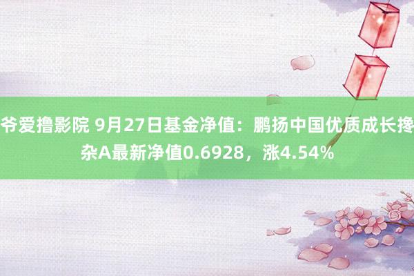 爷爱撸影院 9月27日基金净值：鹏扬中国优质成长搀杂A最新净值0.6928，涨4.54%