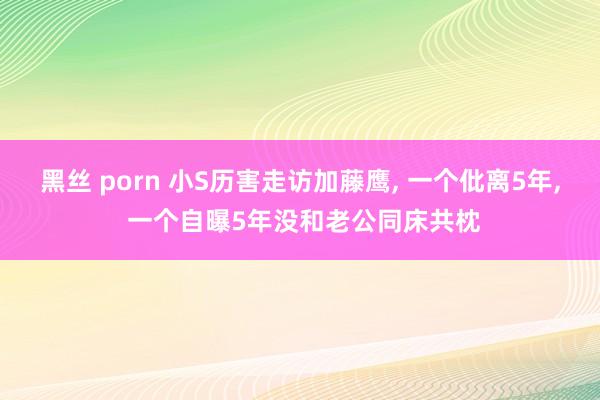 黑丝 porn 小S历害走访加藤鹰， 一个仳离5年， 一个自曝5年没和老公同床共枕