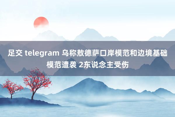 足交 telegram 乌称敖德萨口岸模范和边境基础模范遭袭 2东说念主受伤