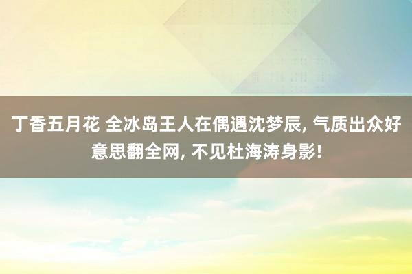 丁香五月花 全冰岛王人在偶遇沈梦辰， 气质出众好意思翻全网， 不见杜海涛身影!