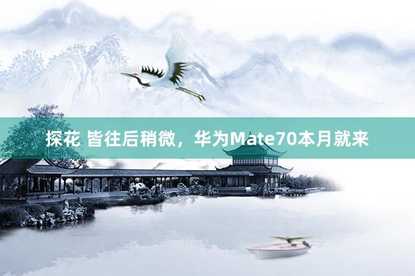 探花 皆往后稍微，华为Mate70本月就来