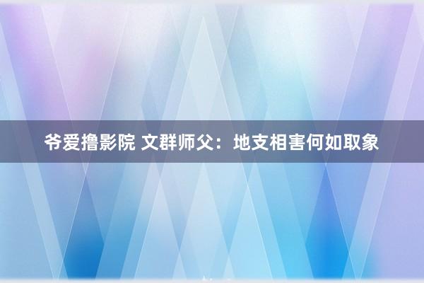 爷爱撸影院 文群师父：地支相害何如取象