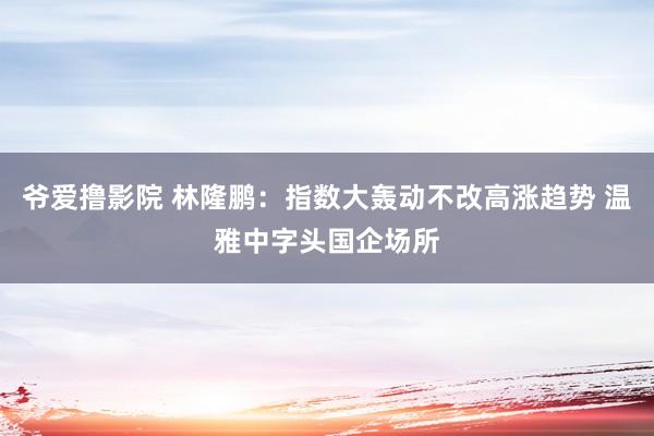 爷爱撸影院 林隆鹏：指数大轰动不改高涨趋势 温雅中字头国企场所