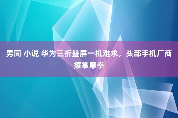 男同 小说 华为三折叠屏一机难求，头部手机厂商擦掌摩拳