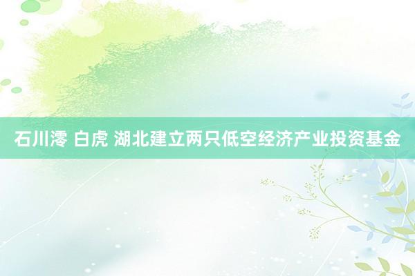 石川澪 白虎 湖北建立两只低空经济产业投资基金