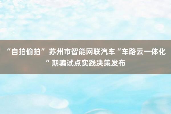 “自拍偷拍” 苏州市智能网联汽车“车路云一体化”期骗试点实践决策发布