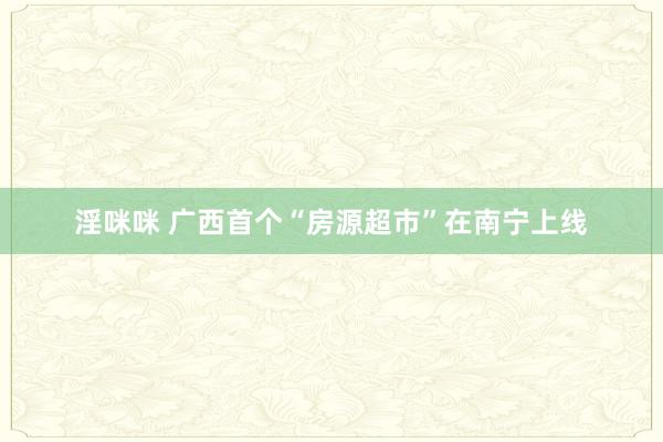 淫咪咪 广西首个“房源超市”在南宁上线