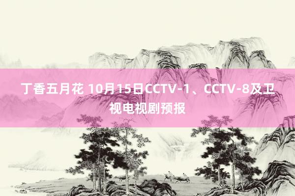 丁香五月花 10月15日CCTV-1、CCTV-8及卫视电视剧预报