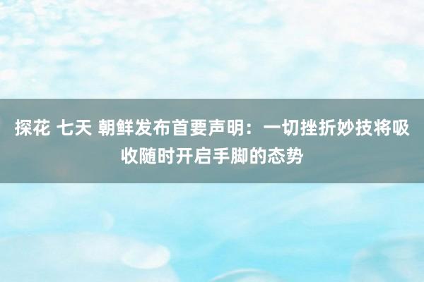 探花 七天 朝鲜发布首要声明：一切挫折妙技将吸收随时开启手脚的态势