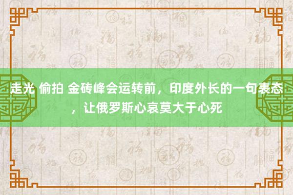 走光 偷拍 金砖峰会运转前，印度外长的一句表态，让俄罗斯心哀莫大于心死