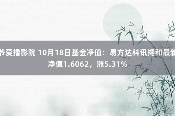 爷爱撸影院 10月18日基金净值：易方达科讯搀和最新净值1.6062，涨5.31%