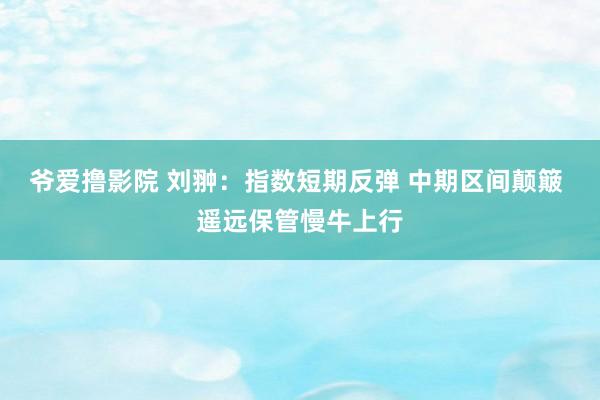 爷爱撸影院 刘翀：指数短期反弹 中期区间颠簸 遥远保管慢牛上行