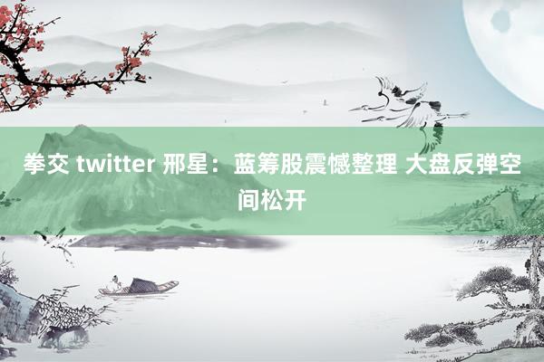 拳交 twitter 邢星：蓝筹股震憾整理 大盘反弹空间松开