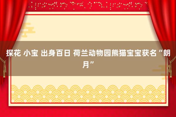 探花 小宝 出身百日 荷兰动物园熊猫宝宝获名“朗月”