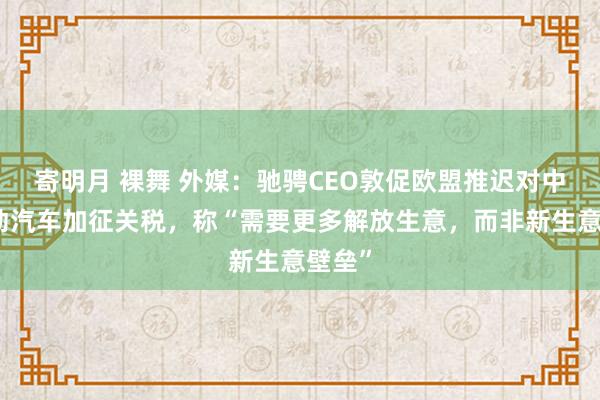 寄明月 裸舞 外媒：驰骋CEO敦促欧盟推迟对中国电动汽车加征关税，称“需要更多解放生意，而非新生意壁垒”