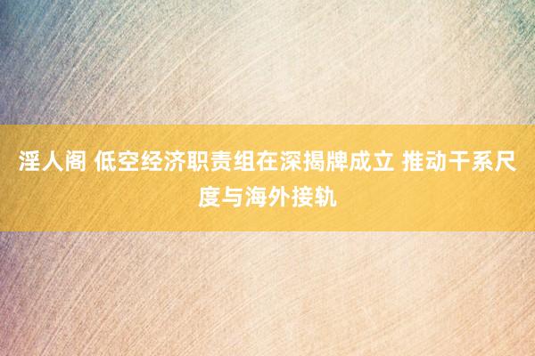 淫人阁 低空经济职责组在深揭牌成立 推动干系尺度与海外接轨