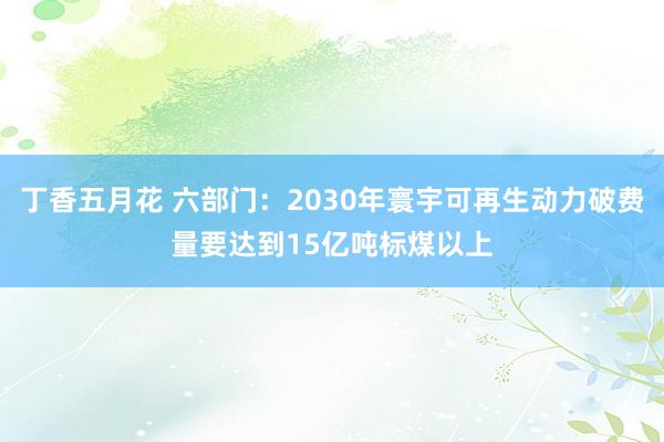 丁香五月花 六部门：2030年寰宇可再生动力破费量要达到15亿吨标煤以上