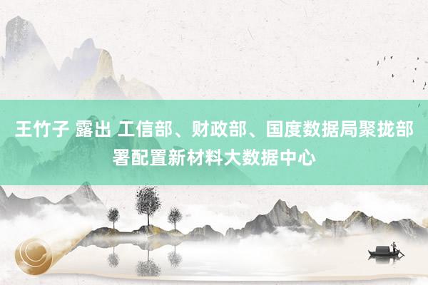 王竹子 露出 工信部、财政部、国度数据局聚拢部署配置新材料大数据中心