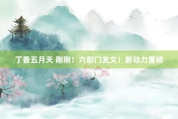 丁香五月天 刚刚！六部门发文！新动力重磅