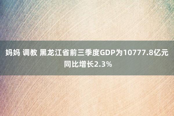 妈妈 调教 黑龙江省前三季度GDP为10777.8亿元 同比增长2.3%