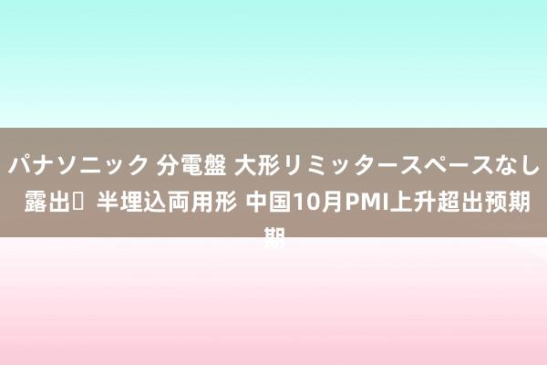 パナソニック 分電盤 大形リミッタースペースなし 露出・半埋込両用形 中国10月PMI上升超出预期