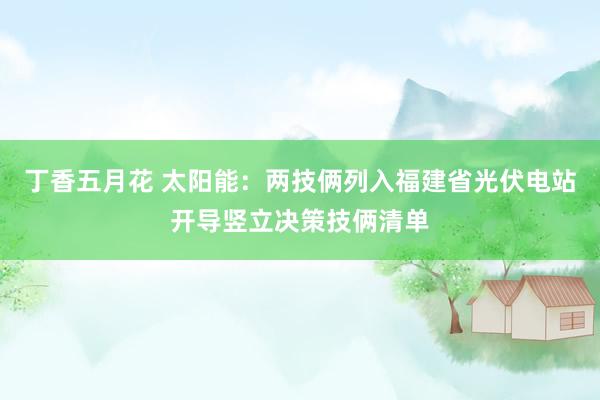 丁香五月花 太阳能：两技俩列入福建省光伏电站开导竖立决策技俩清单