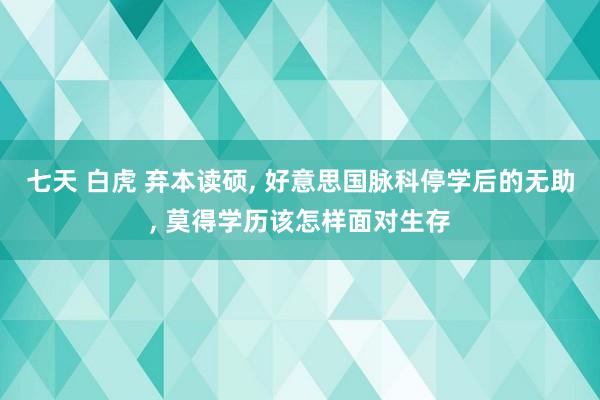 七天 白虎 弃本读硕， 好意思国脉科停学后的无助， 莫得学历该怎样面对生存