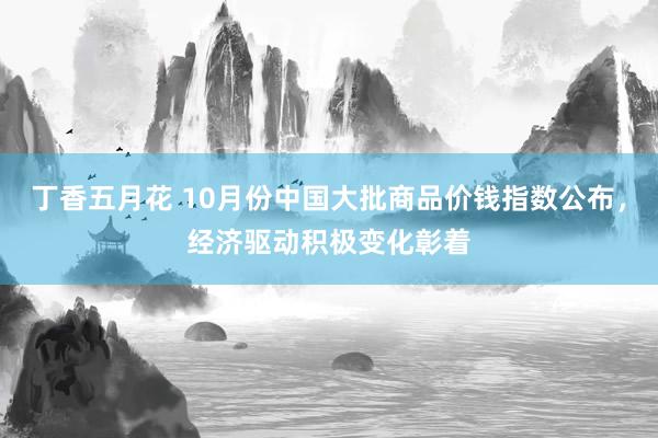 丁香五月花 10月份中国大批商品价钱指数公布，经济驱动积极变化彰着