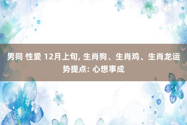 男同 性愛 12月上旬， 生肖狗、生肖鸡、生肖龙运势提点: 心想事成