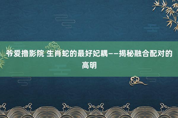 爷爱撸影院 生肖蛇的最好妃耦——揭秘融合配对的高明