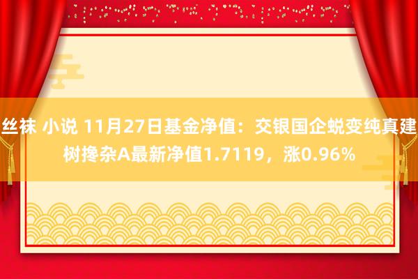 丝袜 小说 11月27日基金净值：交银国企蜕变纯真建树搀杂A最新净值1.7119，涨0.96%