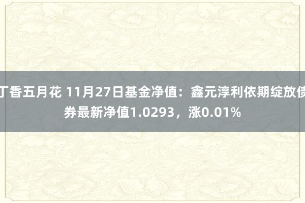 丁香五月花 11月27日基金净值：鑫元淳利依期绽放债券最新净值1.0293，涨0.01%